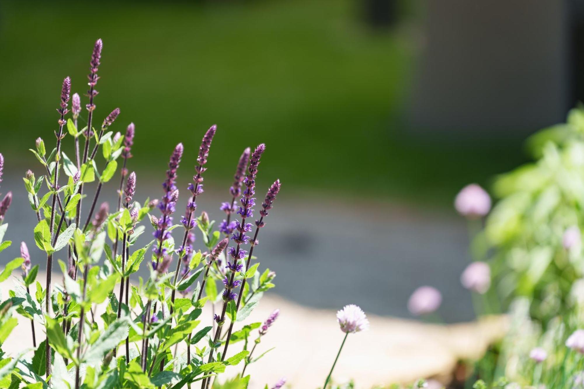 فندق لوكسمبورغفي  Les Jardins D'Anais المظهر الخارجي الصورة